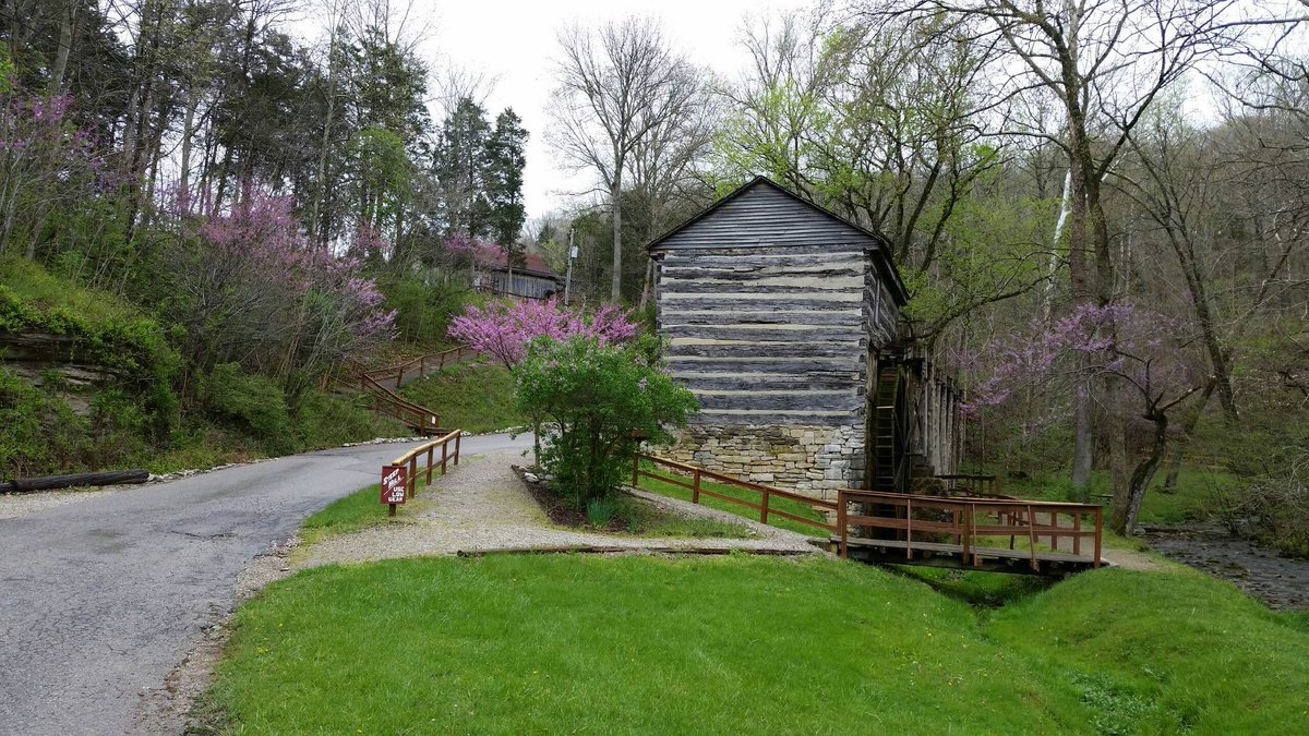 SquireBooneCave's tweet photo. Spring is in the air! Red bud trees and blue bells are decorating the park! #squireboonecaverns #newcavetour #historicboonesmill https://t.co/5uCTpxQmXy