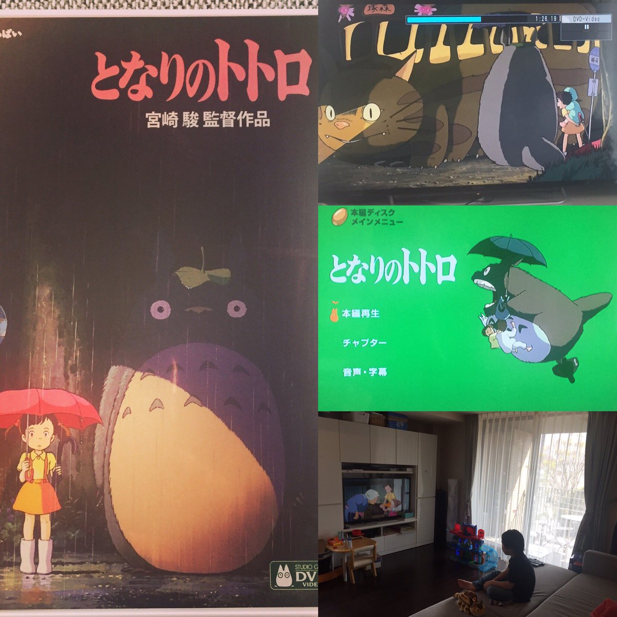 気質アップ】 となりのトトロ DVD 本編ディスク lambda-mdl.de