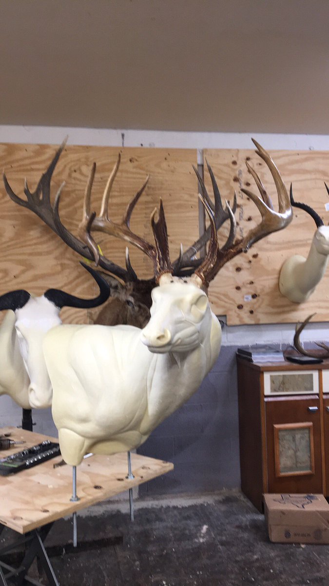 SamCookhunter's tweet image. 