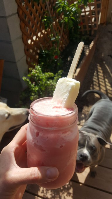🍉 https://t.co/ktQmH3hg46