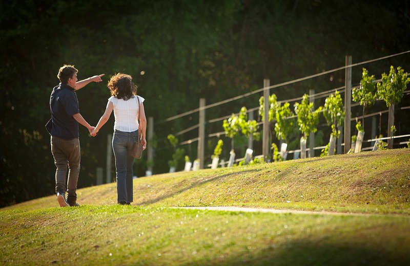 excellent_edu's tweet photo. Amazing wine field visit in @Yanni_Winery, where you can practice all your learn in our wine tasting class and find more. #EDHECsmm👏👏 https://t.co/QiIyMs3Ol5