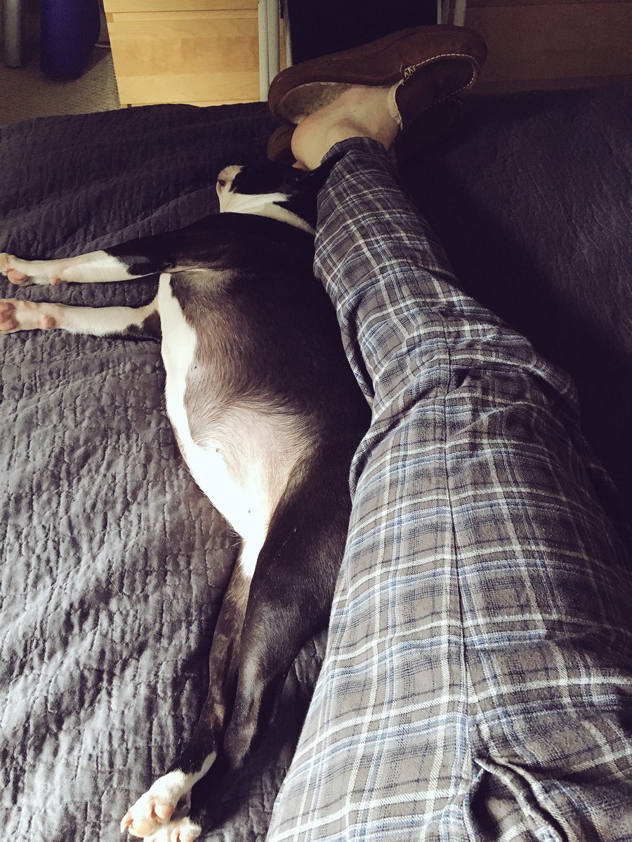 rubythebt's tweet image. Napping with the daddy.