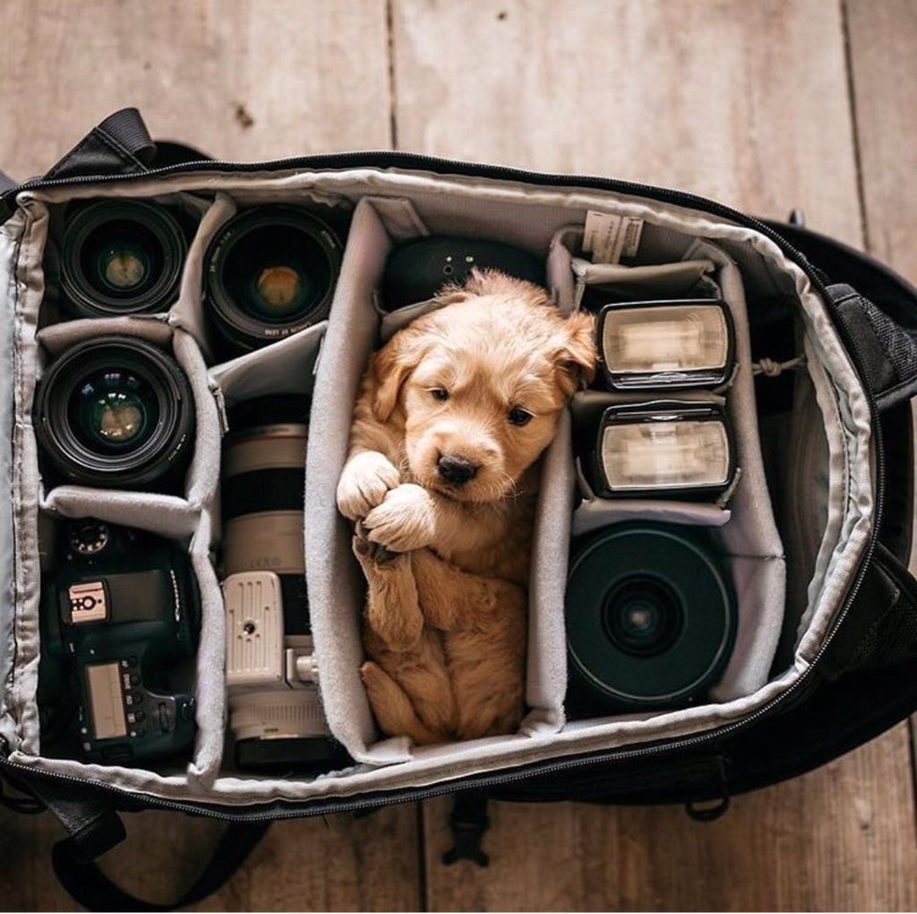 <a href="/charlottesmckee/">charlotte mckee ♡･ᴗ･♡</a> All you need in life