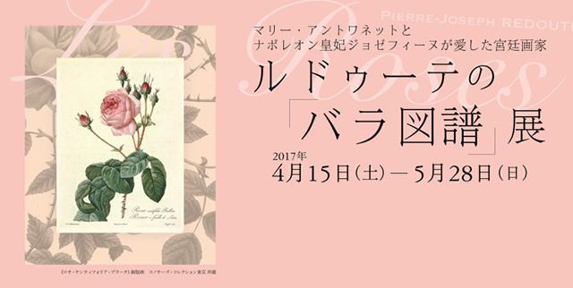 イベントチェッカー製作委員会 本日4 15 土 5 28 日 神奈川 横浜そごう美術館で ルドゥーテの バラ図譜 展 開催 マリー アントワネットらに愛された植物画家の繊細優美なボタニカルアートが楽しめます T Co Riw0tobtj1 イベントチェッカー製作委員会 本日4 15 土 5 28 日 神奈川 横浜そごう美術館で ルドゥーテの バラ図譜 展 開催 マリー アントワネットらに愛された植物画家の繊細優美なボタニカルアートが楽しめます T Co Riw0tobtj1