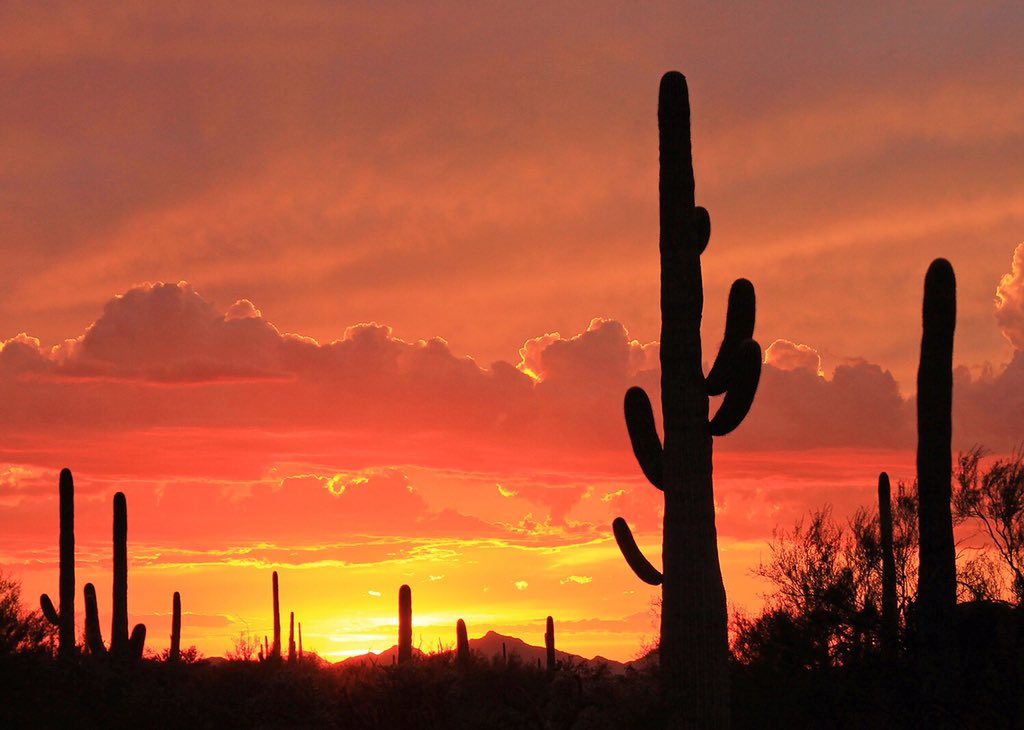 US Department of the Interior tweet media