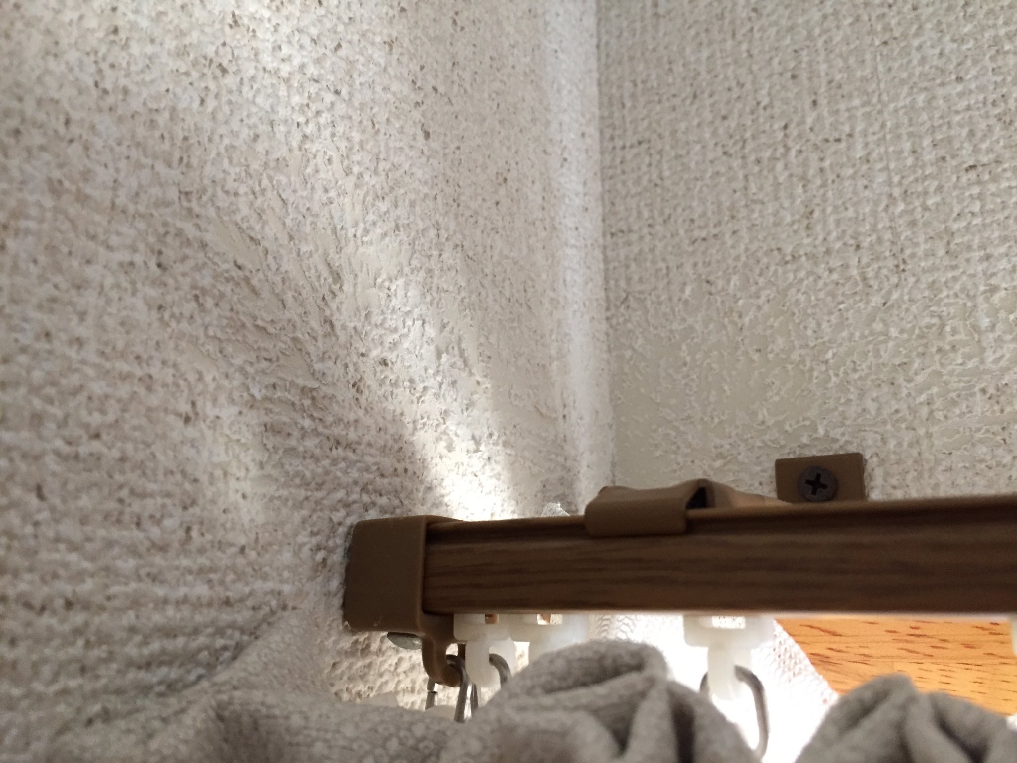 ぴぴちか 壁紙かじるの大好きなインコちゃんたちのために タグ作りました インコ壁紙同好会 T Co Dxxezu7p8m Twitter