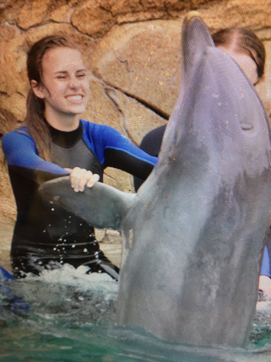 ParkinsonBrooke's tweet photo. ITS NATIONAL DOLPHIN DAY. 🐬🐬 here's to you, you beautiful wet hotdogs. https://t.co/s3N2nL3eyw