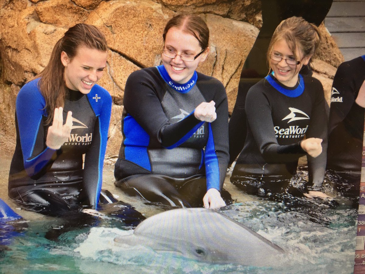 ParkinsonBrooke's tweet photo. ITS NATIONAL DOLPHIN DAY. 🐬🐬 here's to you, you beautiful wet hotdogs. https://t.co/s3N2nL3eyw