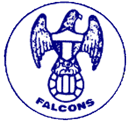 ClassicNASL's tweet photo. Sometimes soccer teams can just be named after an animal. #TorontoFalcons #NASL https://t.co/bIen84SARk