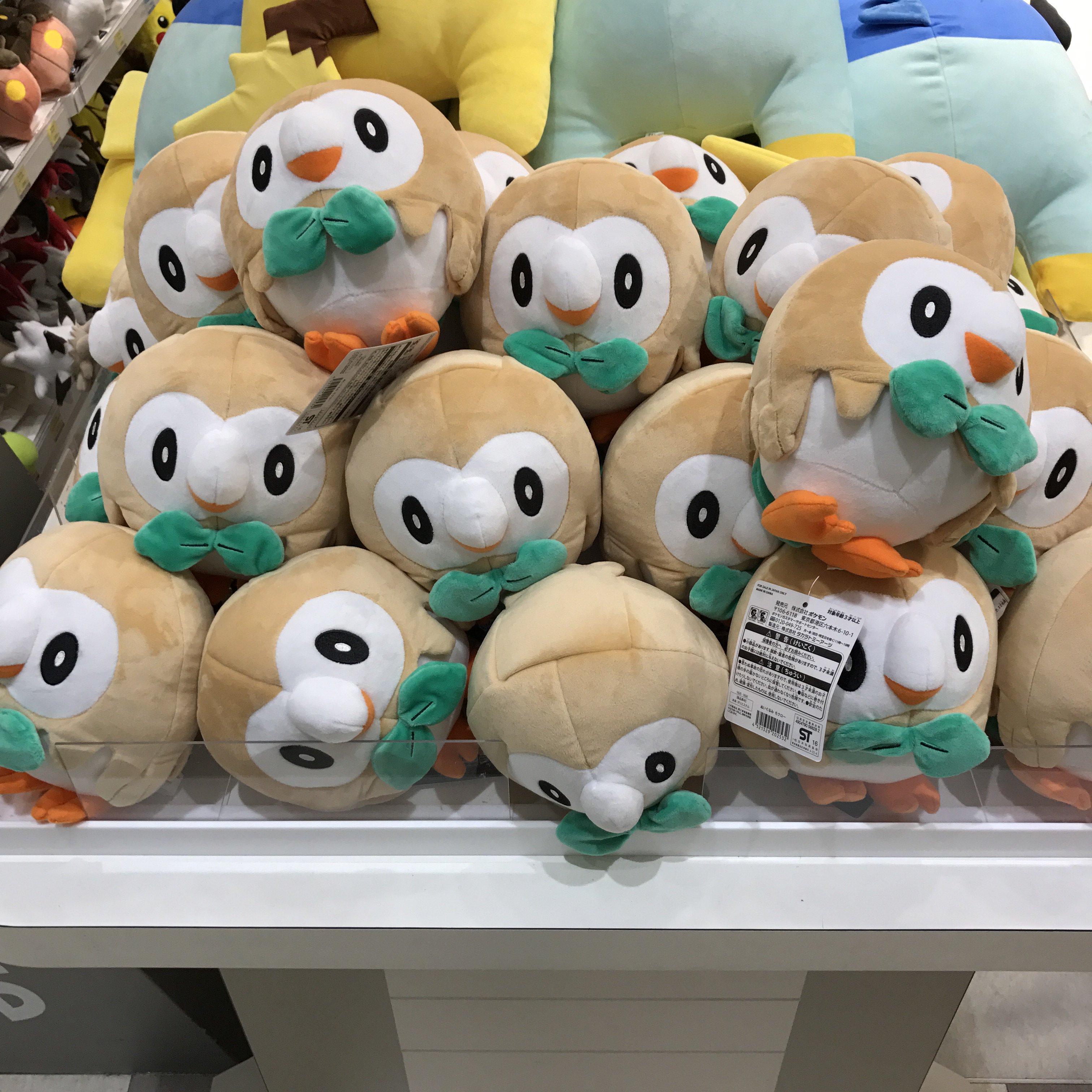 ポケモンセンターNAKAYAMA on X: ポケモンセンターNAKAYAMA on X: