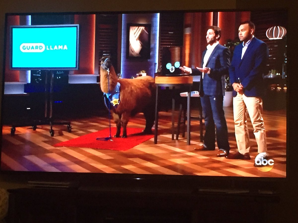 TechGuyJeff's tweet image. Congrats to @mHUBChicago company Guard Llama for their deal w/ @BarbaraCorcoran on #SharkTank!