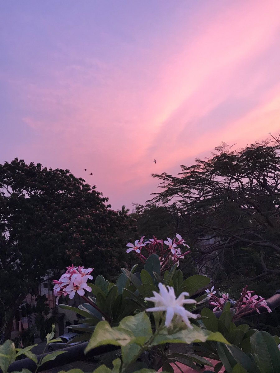 There is beauty all around, visible only to the beautiful mind, not to a discerning eye. How much beauty lies packed in a simple dawnscape!