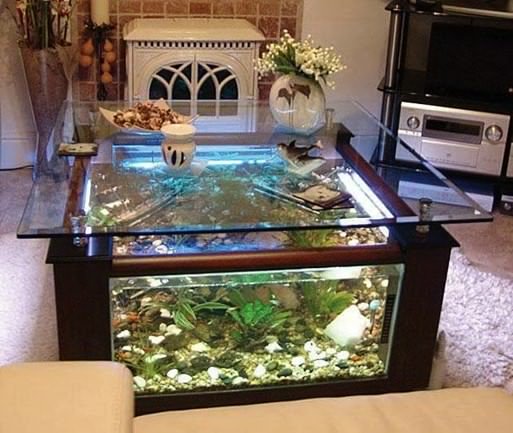 Bangun Bumi Pratama בטוויטר Model Aquarium Meja Yang Selalu