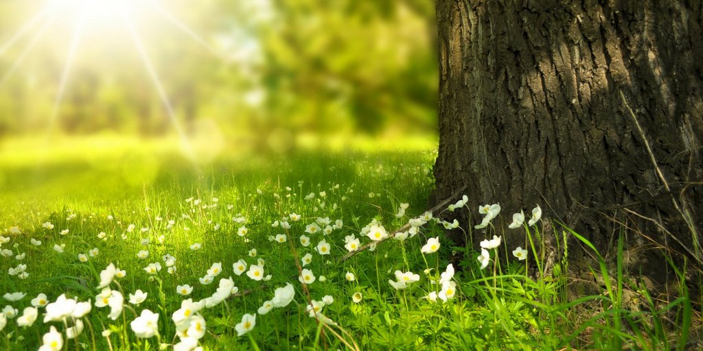 Are you enjoying this fabulous long weekend? The sunshine, spring flowers &amp; blue skies are making it perfect to get outside! #whatsyourfeat