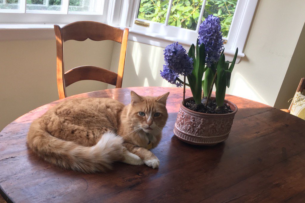 sharonekerr's tweet image. #corcoran #estatesection #outtake #priceonrequest #hamptons #luxuryhomes #SecretGarden #newexclusive  #photoshoot