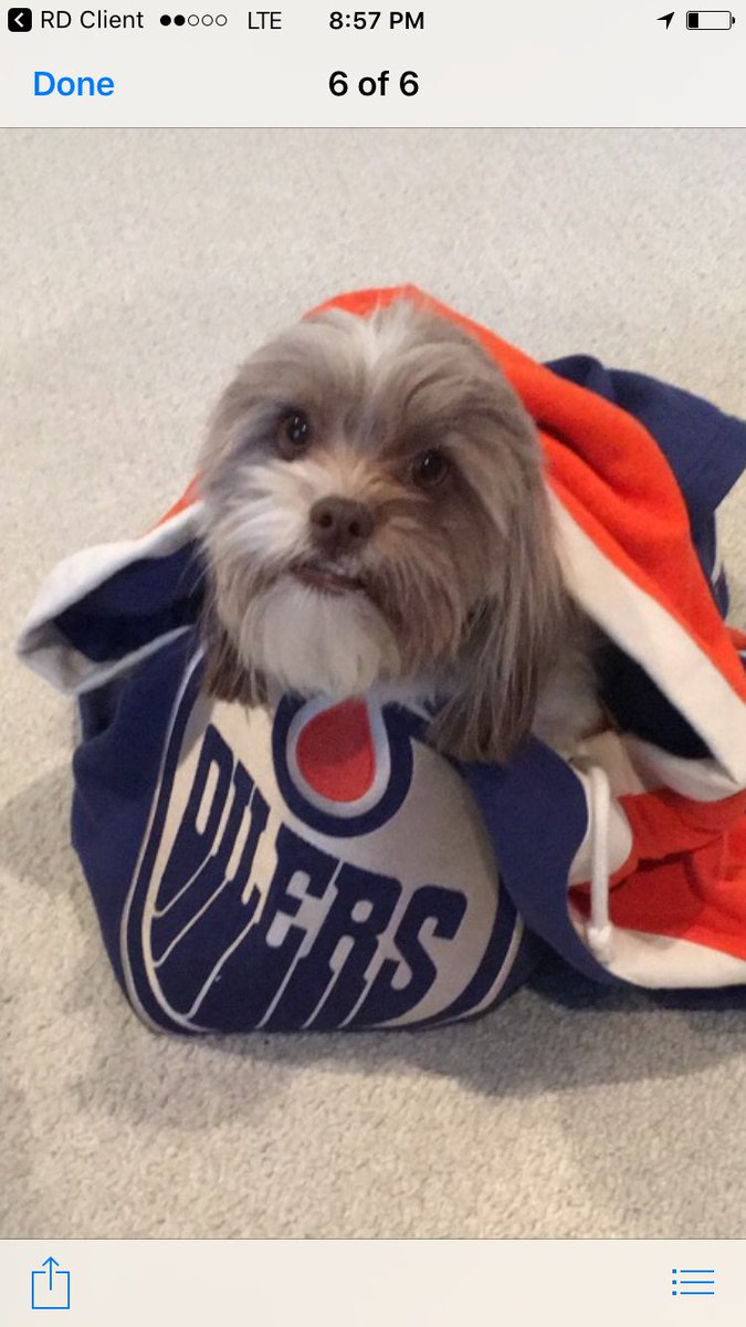 Hody35's tweet photo. Let's go Oilers!! @EdmontonOilers #Oilersrollcall https://t.co/NQZ1p3ai4v