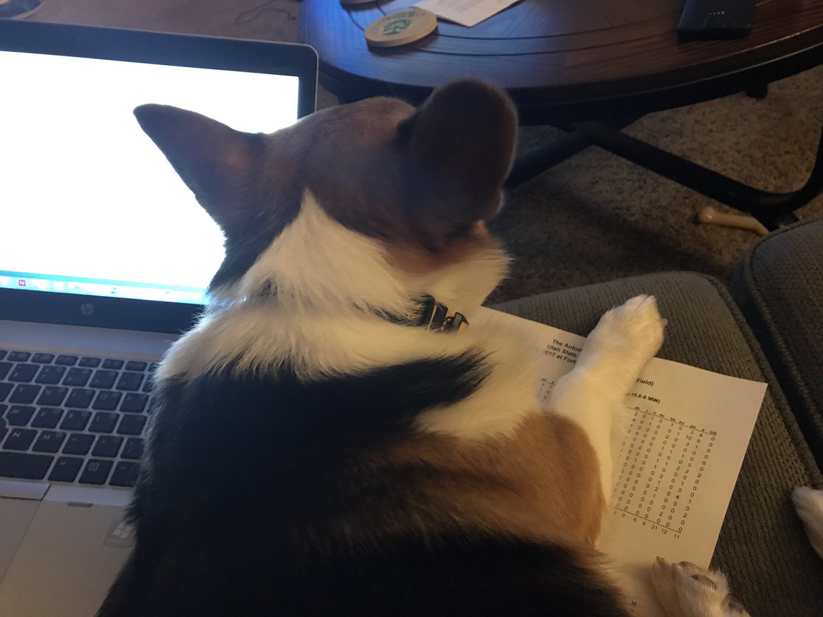 ZachBalside's tweet image. Trying to write a recap #SIDproblems #corgiproblems