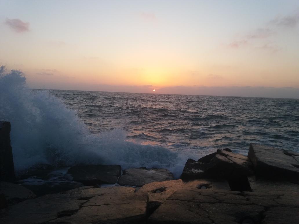 elba4a94's tweet photo. #صوره_من_تصويرك
Gleem https://t.co/3nUnss1gK2