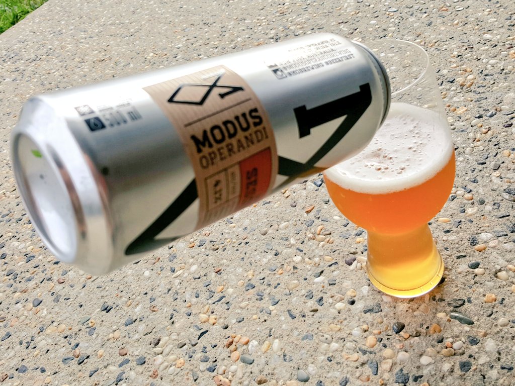 Beer_Ambassador's tweet photo. @MOBrewing session ipa is rockin it! #drinklocal #ipa #beer #session #craftbeer #australia #modusoperandi #brewery #beerpics #mobrewing https://t.co/c2obo4D7mu