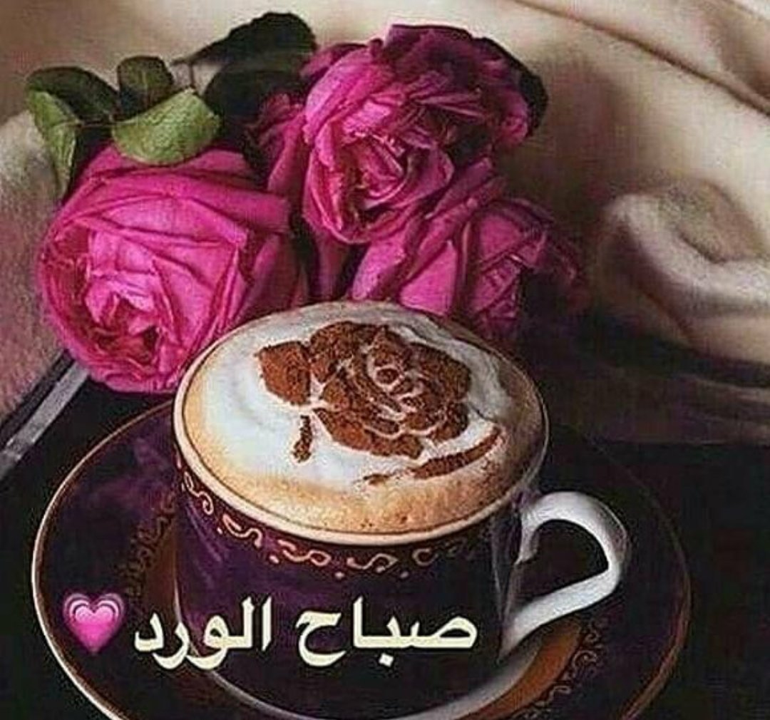 AhmadAlb24's tweet photo. https://t.co/HDyjAVS0Cc