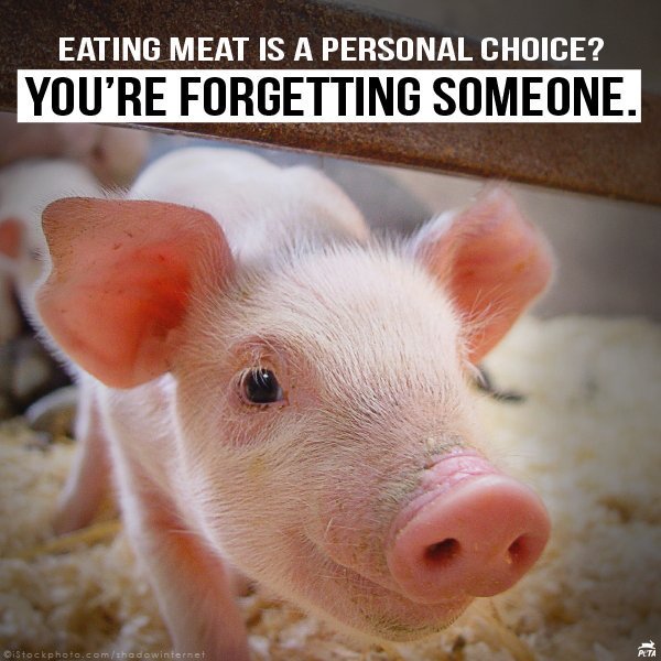 Choose compassion this #Easter: leave animals OFF your plate! 🐷 #TryVegan