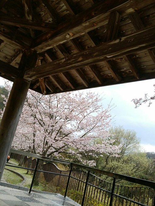 Twitterのコスプレ画像12