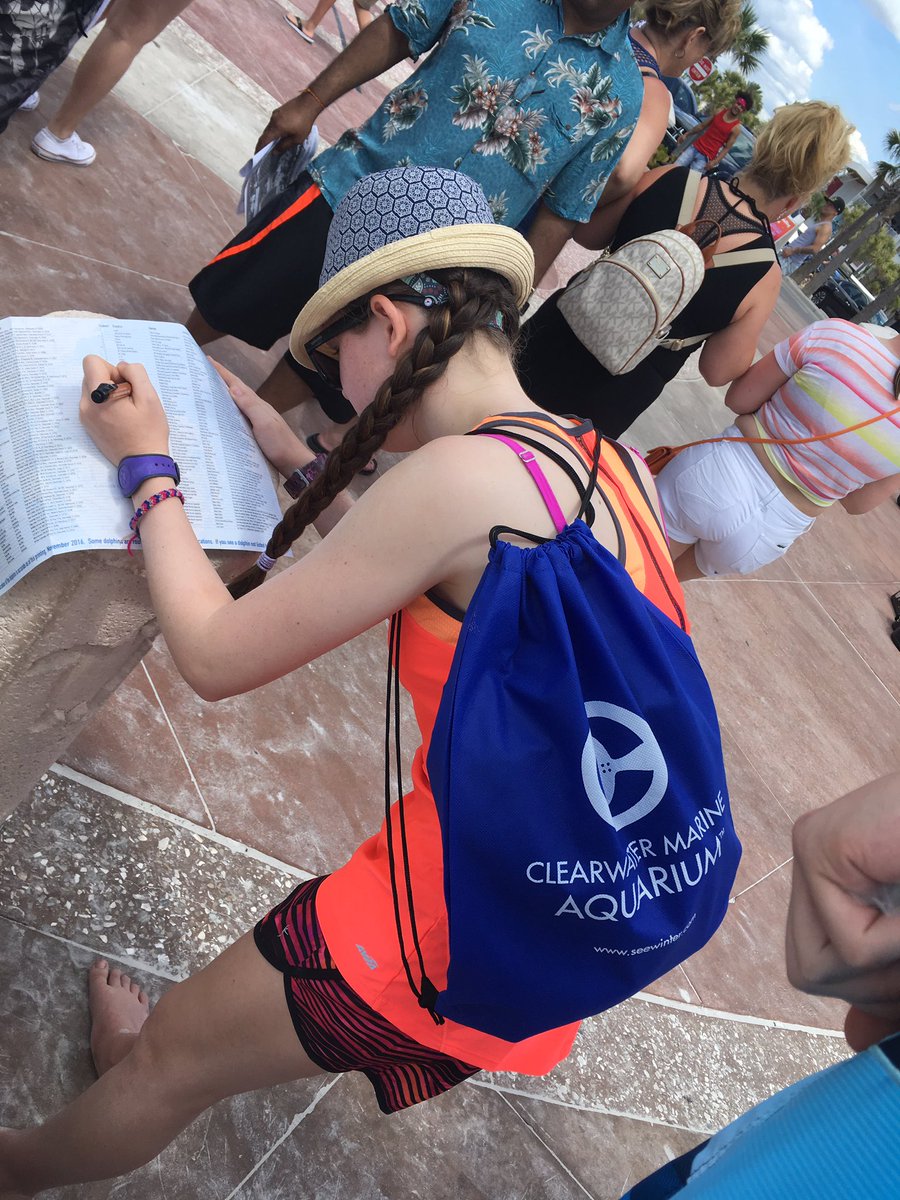 CA_Tweetings's tweet photo. @VSPC quick scoot across to visit, what a fab day @CMAquarium dolphins made an appearance on @LittleTootFins boat trip #britsabroad #travel😍 https://t.co/2czED49T4E