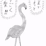 片足で立ってるとかドMかよw両足で立つことに気が付いたフラミンゴがこちら!