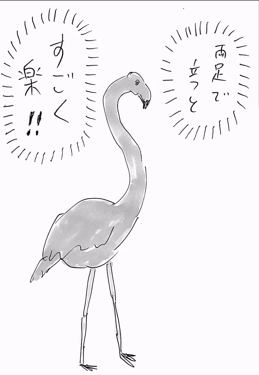 片足で立ってるとかドMかよw両足で立つことに気が付いたフラミンゴがこちらwww