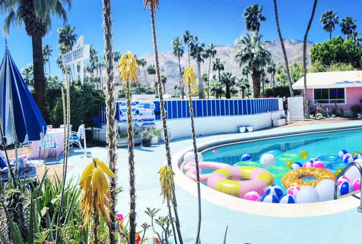 chefadamm's tweet photo. viewz from the @galore X @grindr pool party w/ @charli_xcx &amp; @brookecandy 💦🍍🌸 loving #PALMSPRINGS 🌵💫🌴#coachella #chalkpointkitchen https://t.co/18g0xTa1lJ
