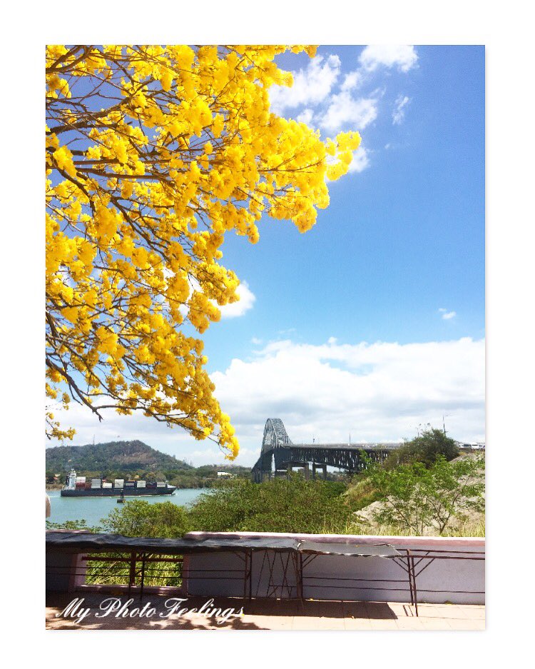 Peter_Ville's tweet photo. @DeportesNTN24 Puentes de las Américas - Ciudad de Panamá https://t.co/N5PMI1vSpE
