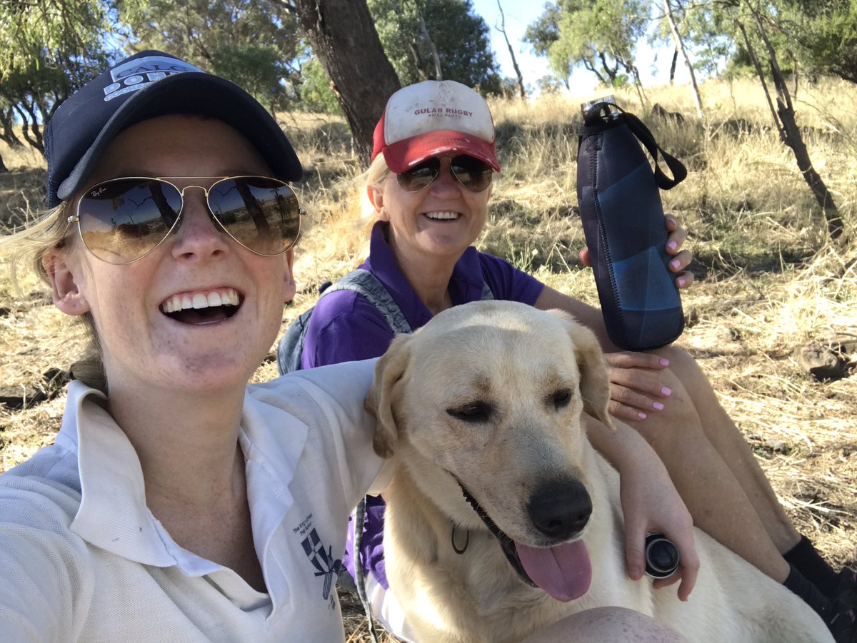 Hannah_webb22's tweet photo. Walked up the hill behind our house this morning, and we were able to bring Joe with us. Mum was battling from a hangover and bad shoes https://t.co/W0K7RKrqSU