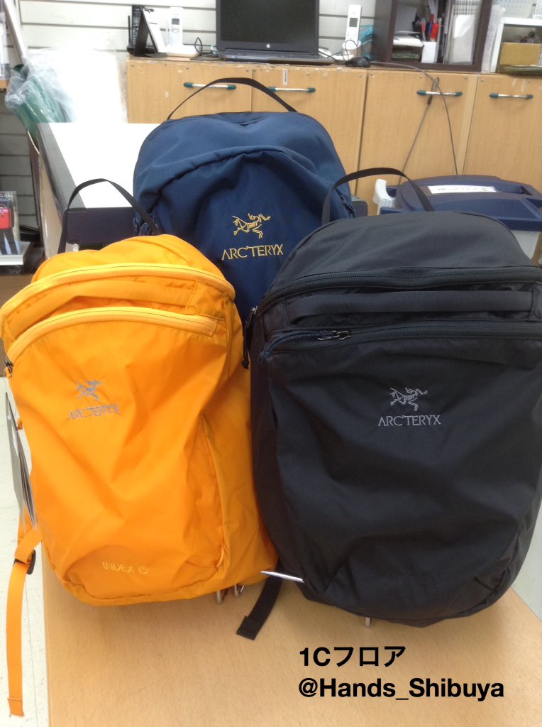 ARC'TERYX INDEX15 金刺繍 希少 インデックス ダイナスティ ARC'TERYX INDEX15 金刺繍 希少 インデックス ダイナスティ ARC'TERYX