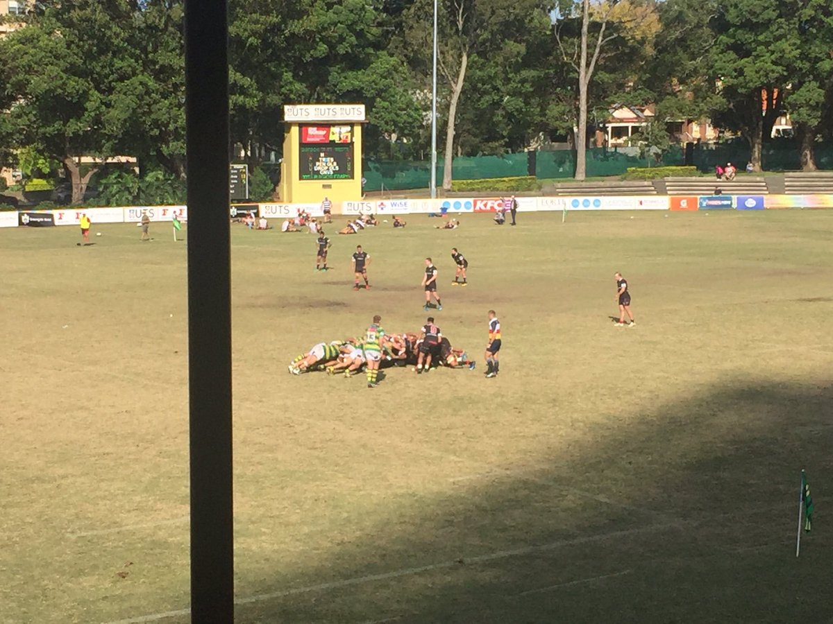 Hef0909's tweet photo. How good is Saturday afternoon club rugby? @theshuteshield @GordonRUFC v @WestHarbourRFC #clubrugby #shuteshield #grassroots #agordonforme https://t.co/8CiHTXHV4f