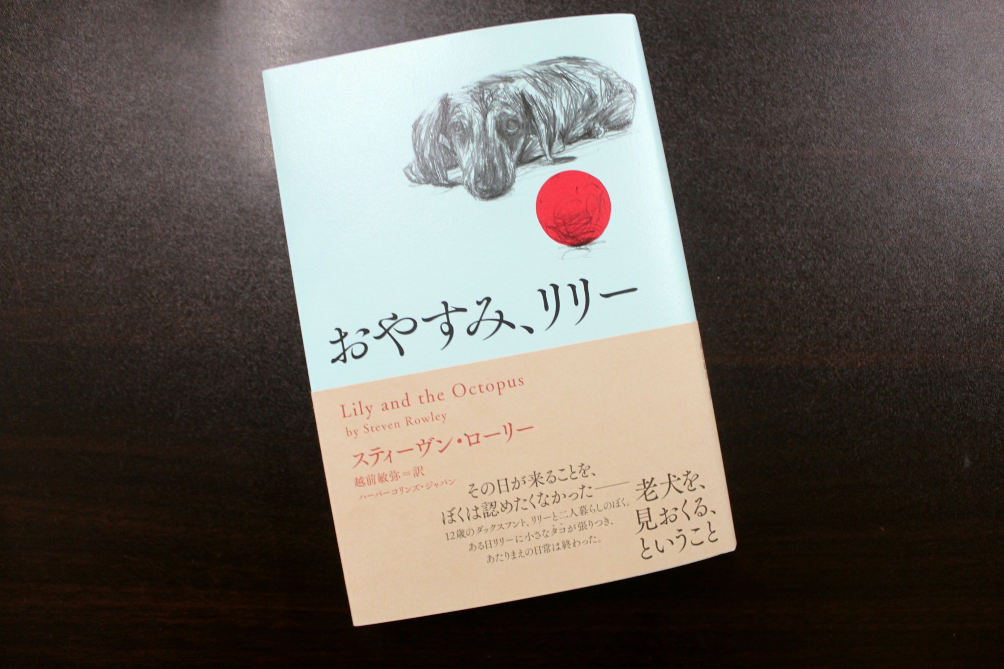 Twitter এ 青山ブックセンター本店 スティーヴン ローリー 越前敏弥さん 訳 おやすみ リリー ハーパーコリンズ ジャパン が入荷しました リリーの頭に小さなタコが張りついていることに気付く 帽子のような それ との奇妙な生活 日に日に弱ってゆくリリーの