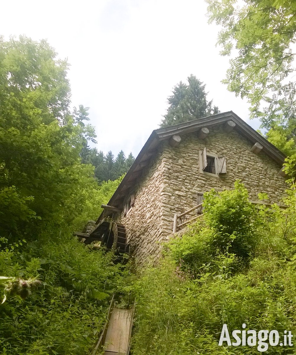 AsiagoIt's tweet photo. Lunedì #escursione con Guide Altopiano alla VALLE DEI #MULINI, #Gallio! https://t.co/50nRgTRlfp
Alt. di #Asiago https://t.co/jYEJSNTPeH