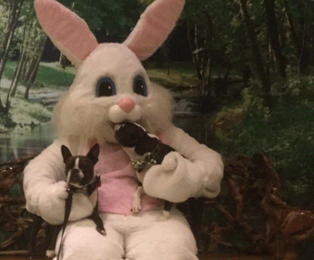 sandbott's tweet image. Hey Easter Bunny, are you hiding any treats in there?