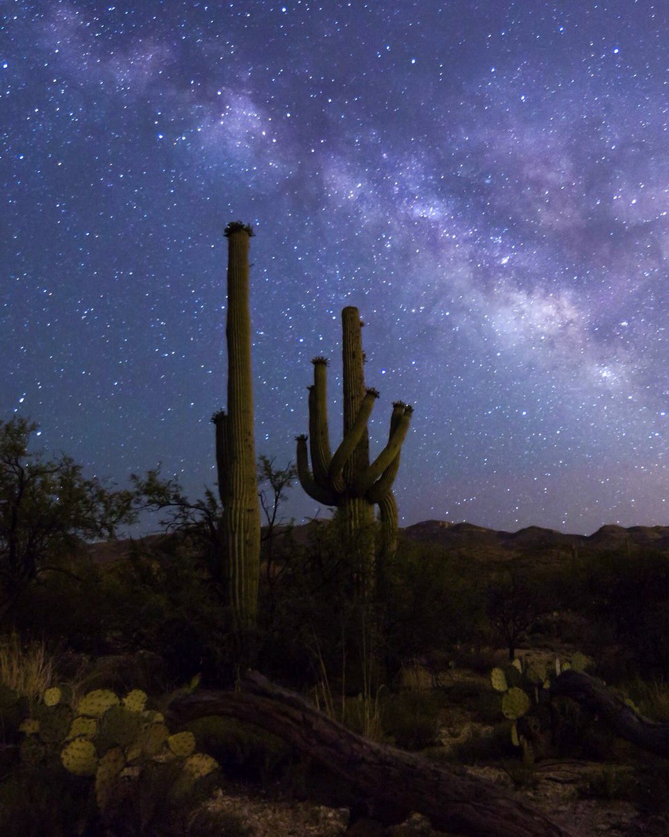 christianfotoaz's tweet image. Flashback Friday of Milky Way rising at Saguaro National Park, Tucson AZ #milkyway #Tucson #photography #travel