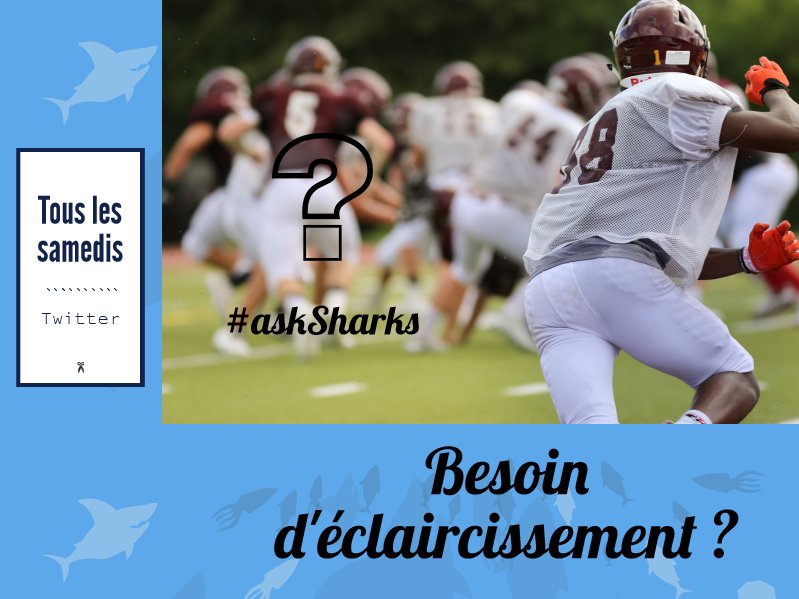 On vous invite à nous poser des questions avec le #askSharks! Nous serons ravis de vous répondre! #asksharks #question #footballamericain