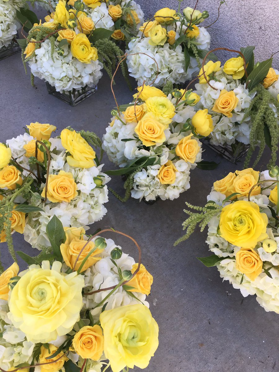 PLilthngs's tweet photo. Yellow love! https://t.co/yKX04ky9Av