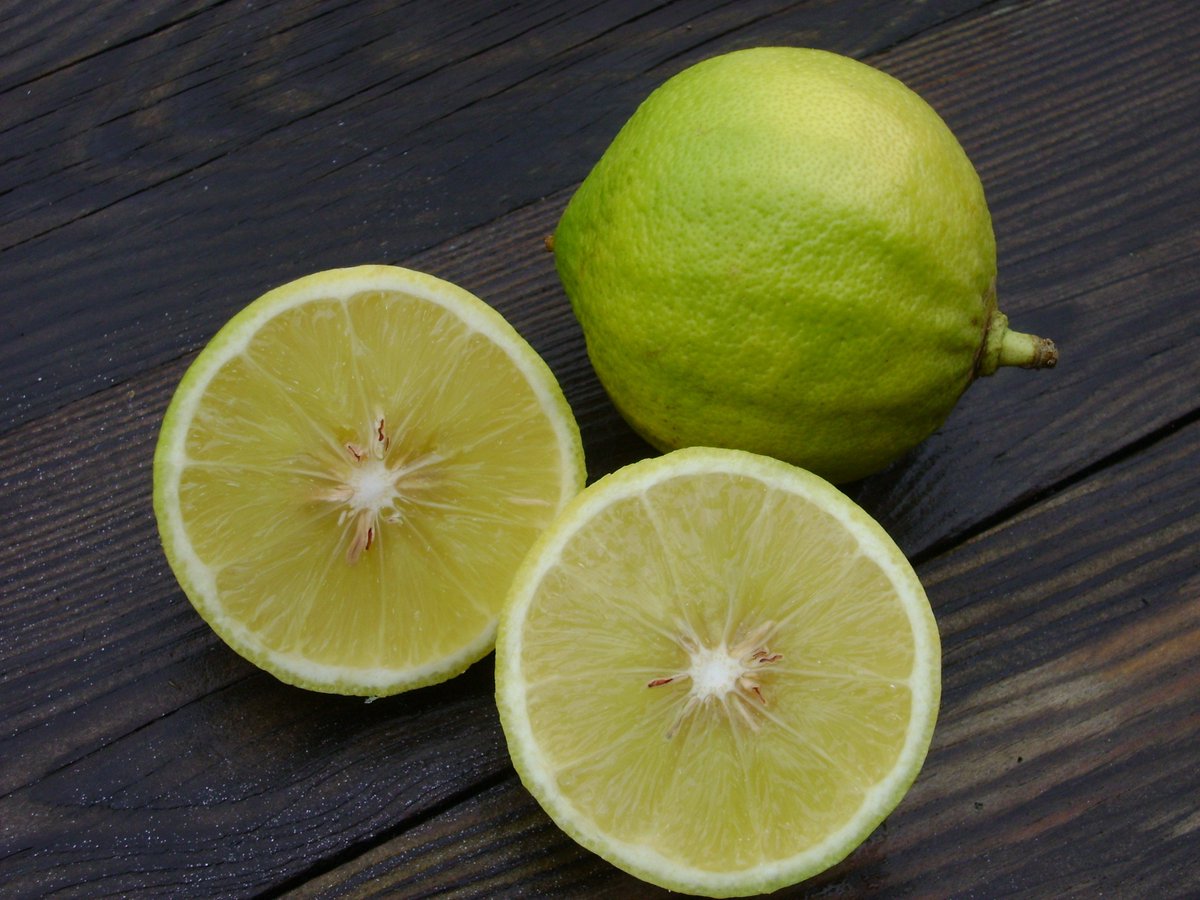 kaizenexport's tweet image. #kaizenexport
Lemon #Export #import 
lnkd.in/gtNvgzS
kaizenexport99@gmail.com
+918000805570 
Vegetable,Fruits,pulses,Grains,Scrap.