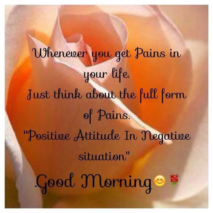 DrRiyazAnsari2's tweet image. 