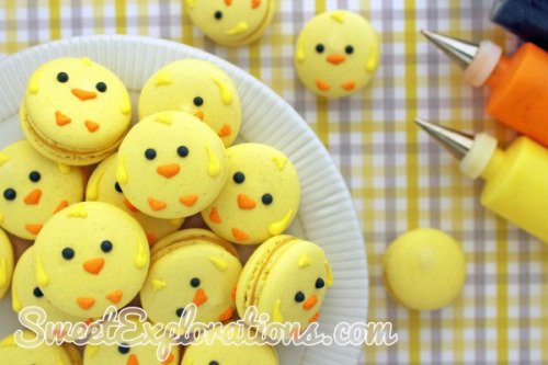 Friendly easter cookies, Happy easter everybody! Have great holidays with family and friends https://t<a href="/tag/rullesofablondelady"class="tags"><span>#rullesofablondelady</span></a>
