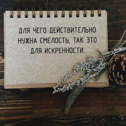 Граф Ворон (@lucifervoron) on Twitter photo 