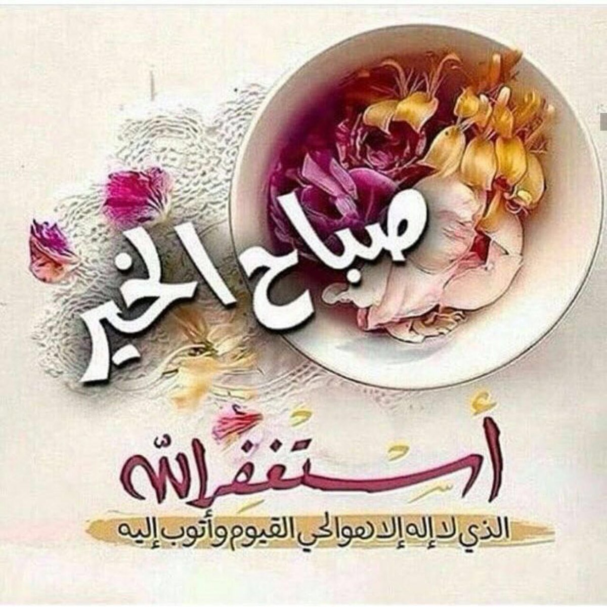 Ali08032839's tweet photo. Good morning https://t.co/9uZKXz7x0m
