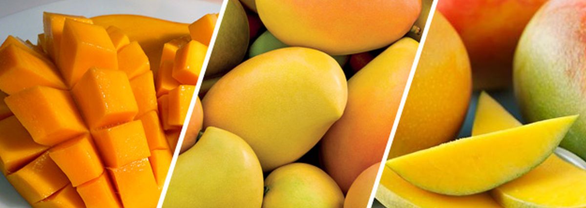 kaizenexport's tweet image. #kaizen #export
#mangoes #kesar
#import
lnkd.in/gtNvgzS
kaizenexport99@gmail.com
+918000805570
Vegetable,Fruits,pulses,Grains,Scrap.