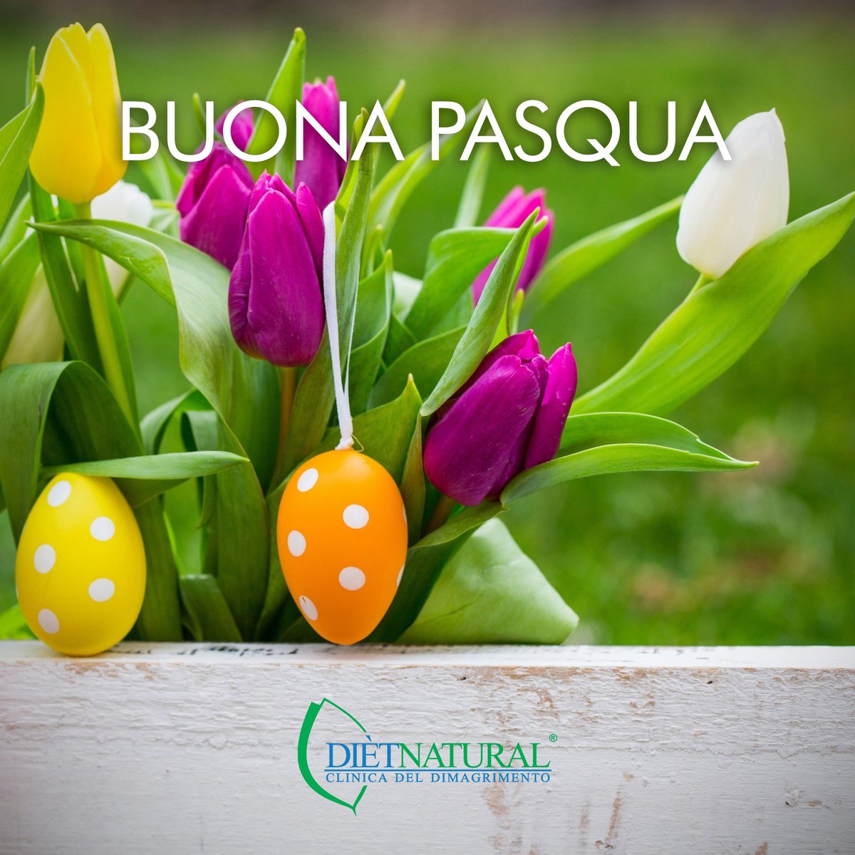 Dietnaturaloff's tweet photo. Vi auguriamo una Felice e Buona Pasqua #pasqua #buonapasqua https://t.co/L54sLhmF9u