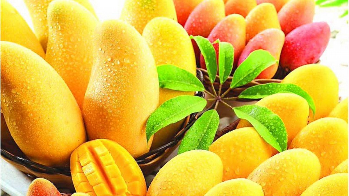 kaizenexport's tweet image. #kaizen #export
#mangoes #kesar
#import
lnkd.in/gtNvgzS
kaizenexport99@gmail.com
+918000805570
Vegetable,Fruits,pulses,Grains,Scrap.