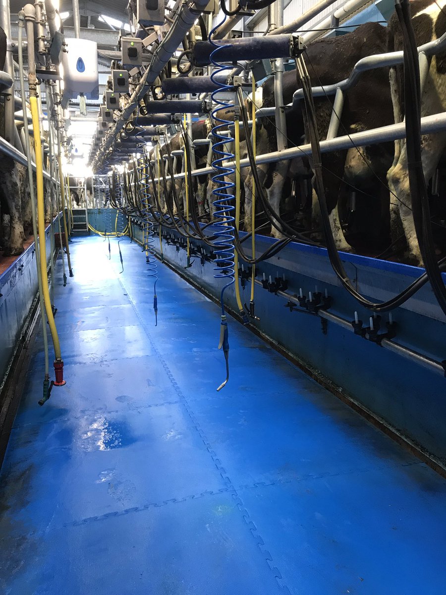 Busting with milk 😁