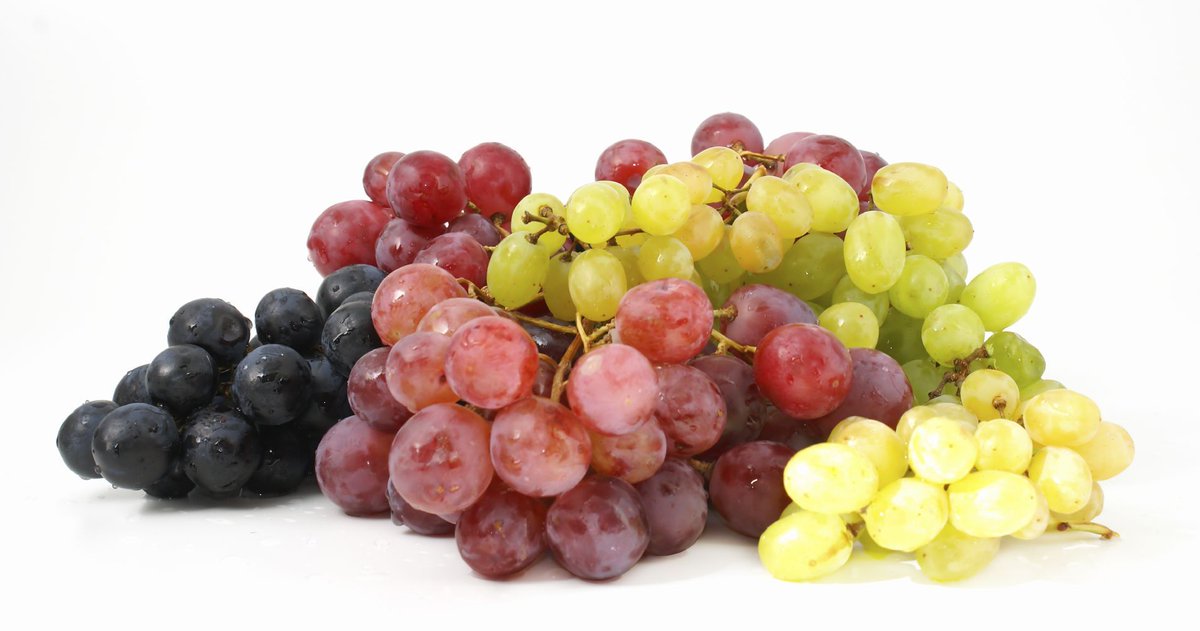 kaizenexport's tweet image. #kaizen #export #Grapes  #import lnkd.in/gtNvgzS  kaizenexport99@gmail.com +918000805570 Vegetable,Fruits,pulses,Grains,Scrap